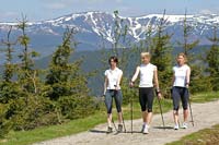 Nordic-walking na alm Benecko * Karkonosze