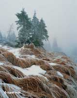 Beauty of hoarfrost  * Krkonose Mountains (Giant Mts)